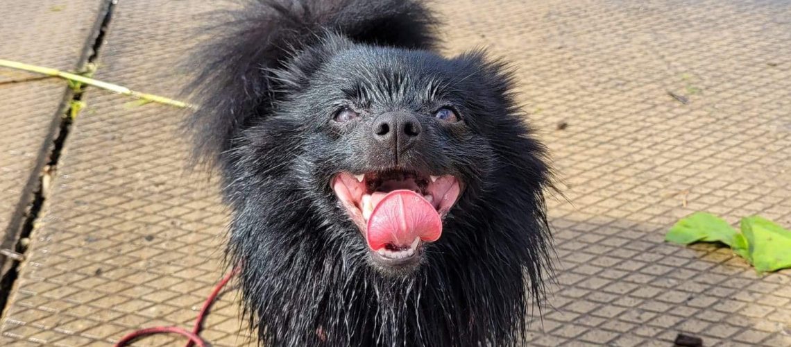 292366050_10160316585347299_2935401741235025826_n